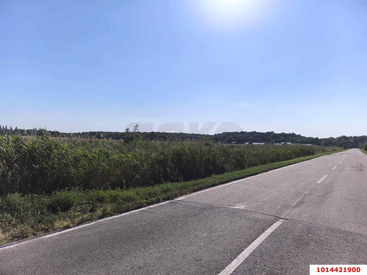 Фото №4: Коммерческая земля 51 сот. - Отрадный, ул. Победы, 1