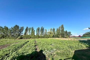 Фото №1: Земельный участок 30 сот. - Ивановская, ул. Северная, 25