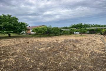 Фото №2: Земельный участок 6.26 сот. - Сад Кубани, мкр. Прикубанский внутригородской округ, ул. Вишнёвая, 57