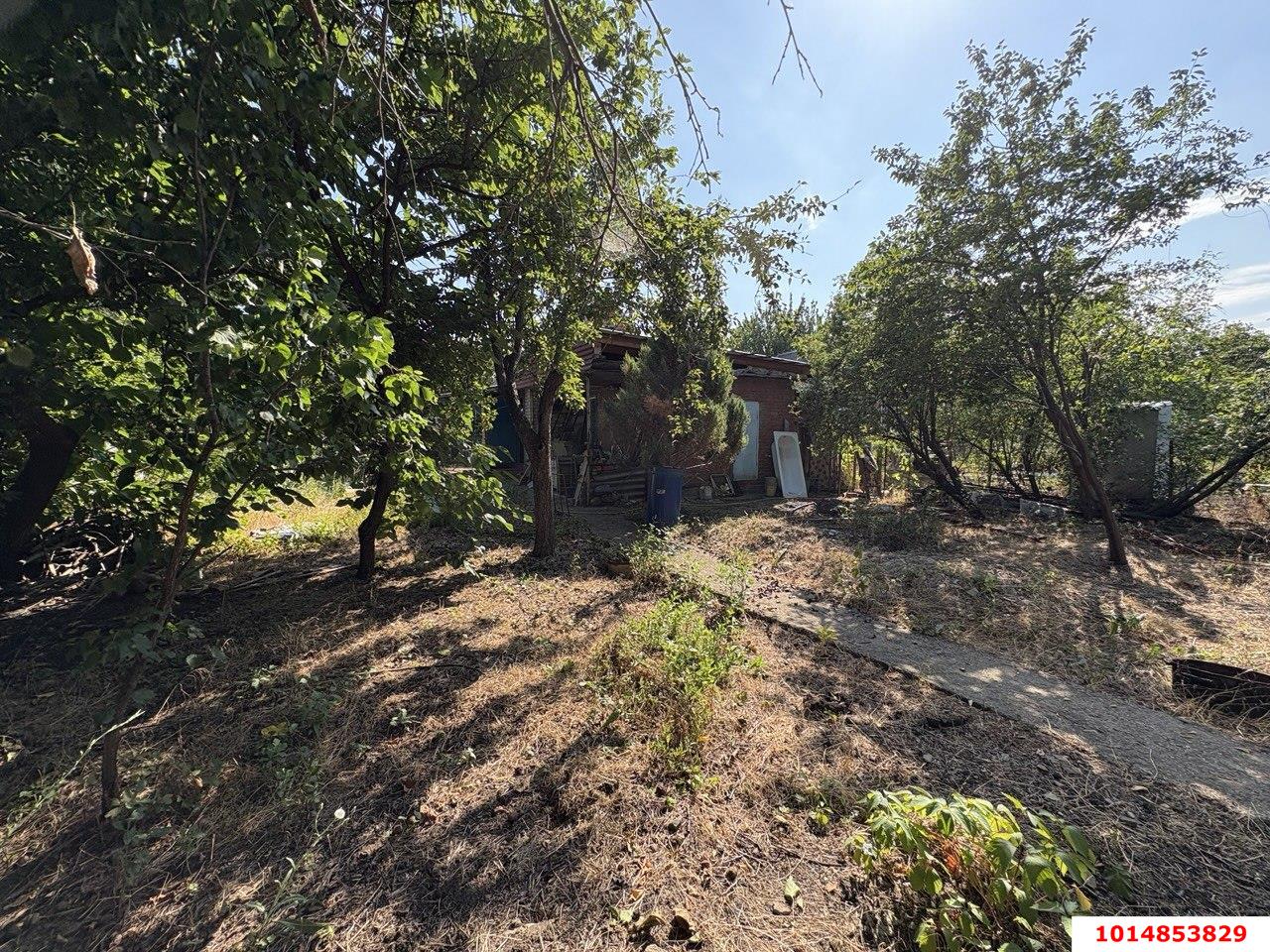 Фото №4: Личное подсобное хозяйство - Любитель, мкр. Прикубанский внутригородской округ, ул. Железнодорожная