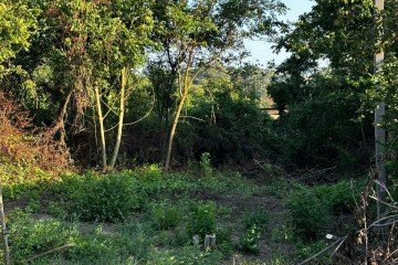 Фото №2: Участок садоводство 5.15 сот. - Кубань, ул. Центральная, 26