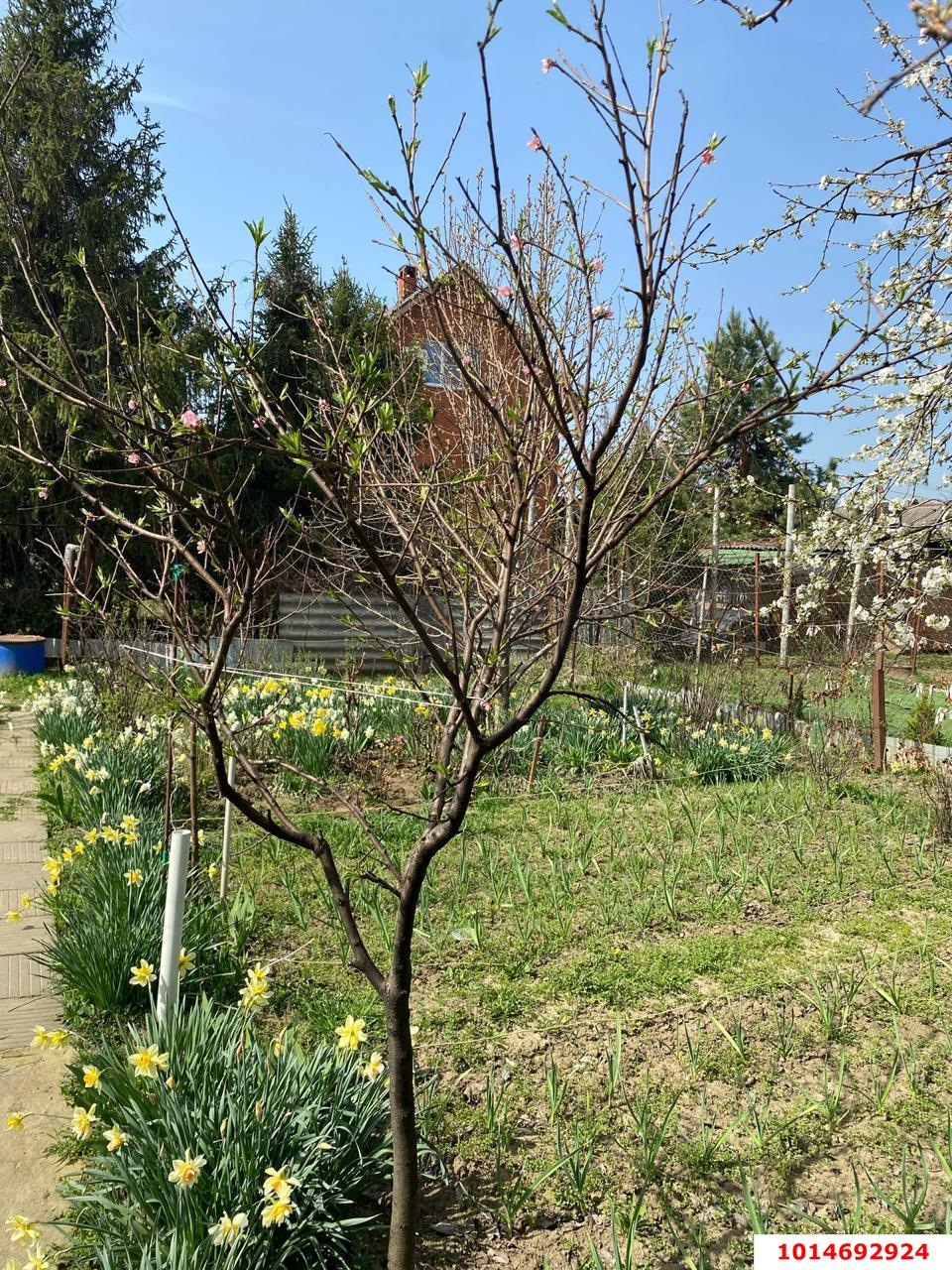 Фото №11: Дом 26 м² + 4 сот. - Елизаветинская, Речник, ул. Судовая, 304