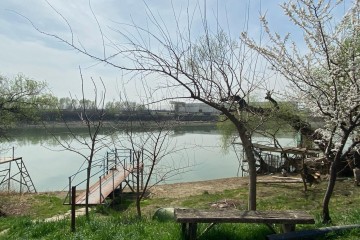 Фото №5: Дом 26 м² - Елизаветинская, ст Речник, ул. Судовая, 304