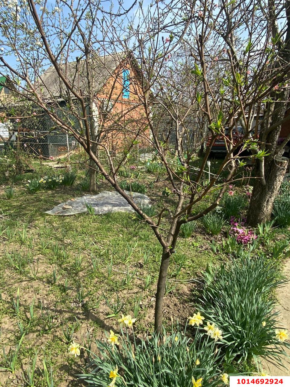 Фото №10: Дом 26 м² + 4 сот. - Елизаветинская, Речник, ул. Судовая, 304