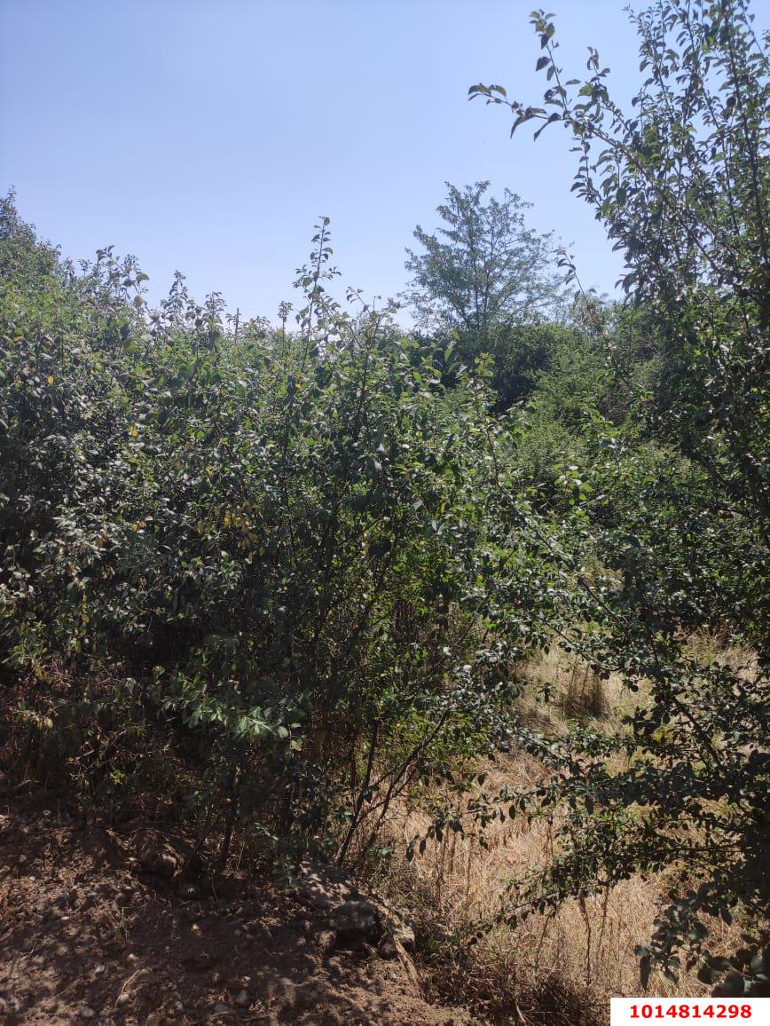 Фото №4: Земельный участок 18 сот. - ДНТ Берег Кубани, ул. Береговая