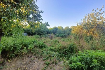 Фото №2: Земельный участок под ИЖС 10 сот. - Елизаветинская, мкр. Прикубанский внутригородской округ, ул. Ленина, 294