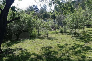 Фото №1: Участок садоводство 5.13 сот. - Елизаветинская, ст Труженик, ул. Луговая, 278