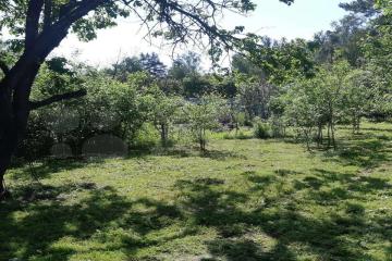 Фото №1: Земельный участок 5.13 сот. - Елизаветинская, ст Труженик, ул. Луговая, 278