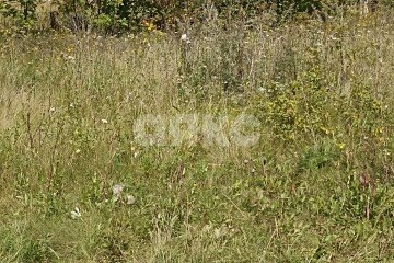 Фото №2: Земельный участок под ИЖС - Ленино, п. коттеджный  Романово, 69