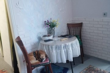 Фото №4: 2-комнатная квартира 40 м² - Краснодар, мкр. Центральный, ул. Гоголя, 40