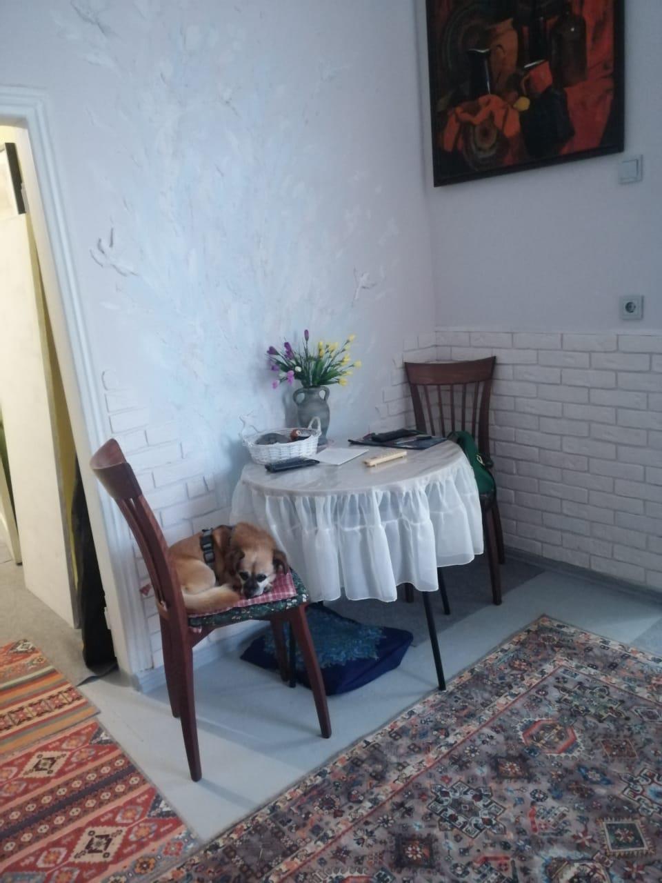 Фото №4: 2-комнатная квартира 40 м² - Краснодар, Западный внутригородской округ, мкр. Центральный, ул. Гоголя, 40