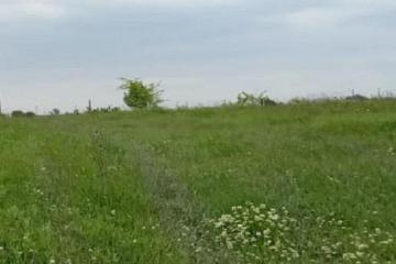 Фото №3: Земельный участок 8 сот. - Афипский, 