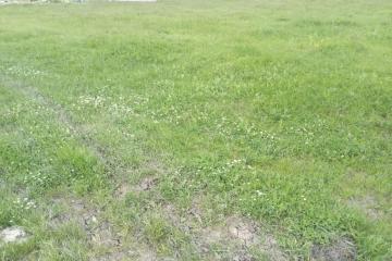 Фото №2: Земельный участок 8 сот. - Афипский, 