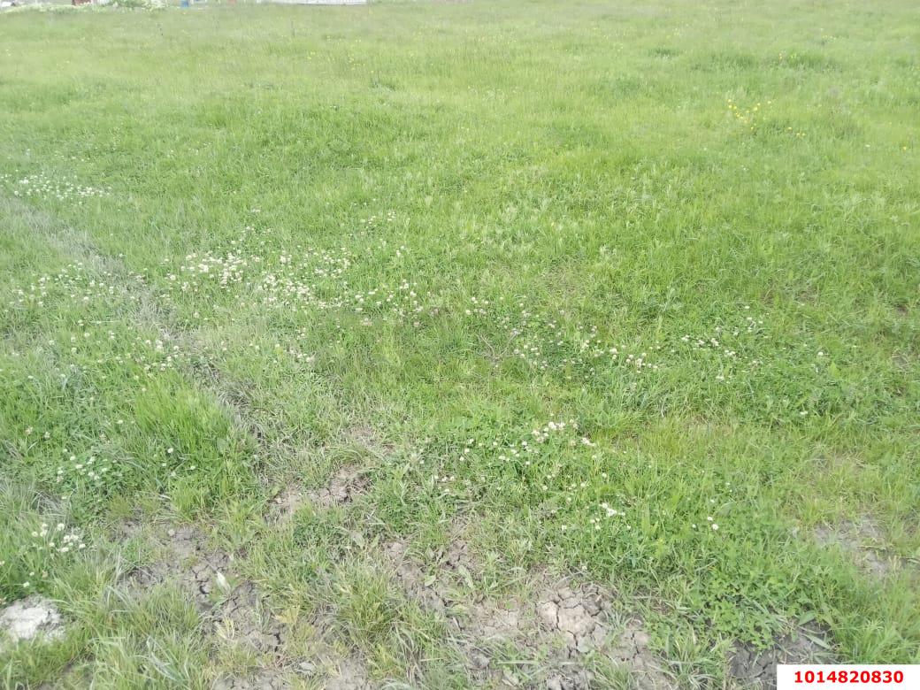 Фото №2: Земельный участок 8 сот. - Афипский