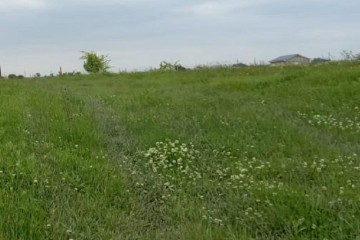 Фото №1: Земельный участок под ИЖС 8 сот. - Афипский, 