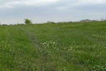 Фото №1: Земельный участок 8 сот. - Афипский, 