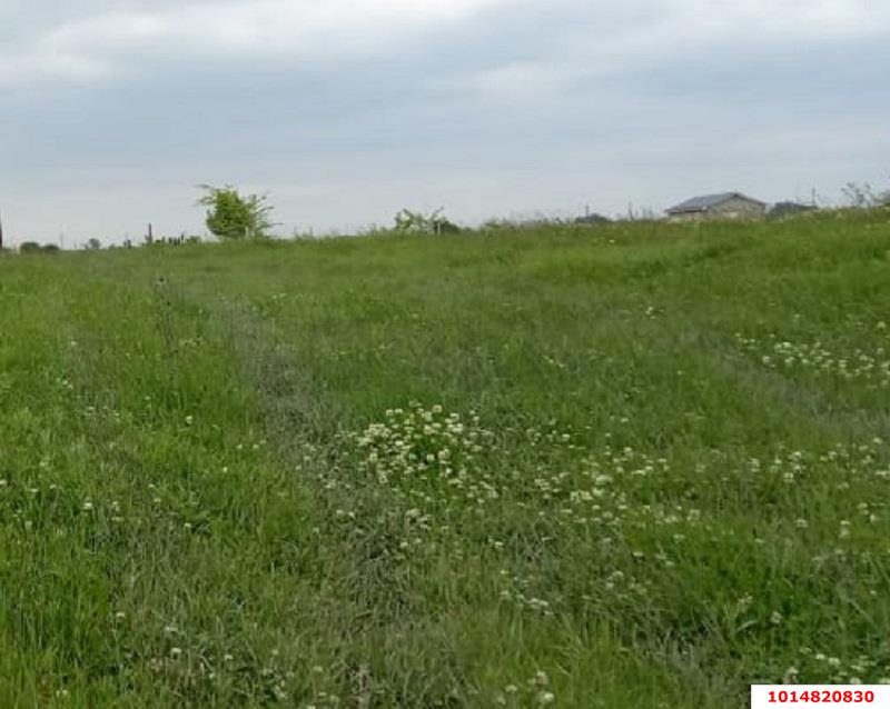 Фото №1: Земельный участок 8 сот. - Афипский