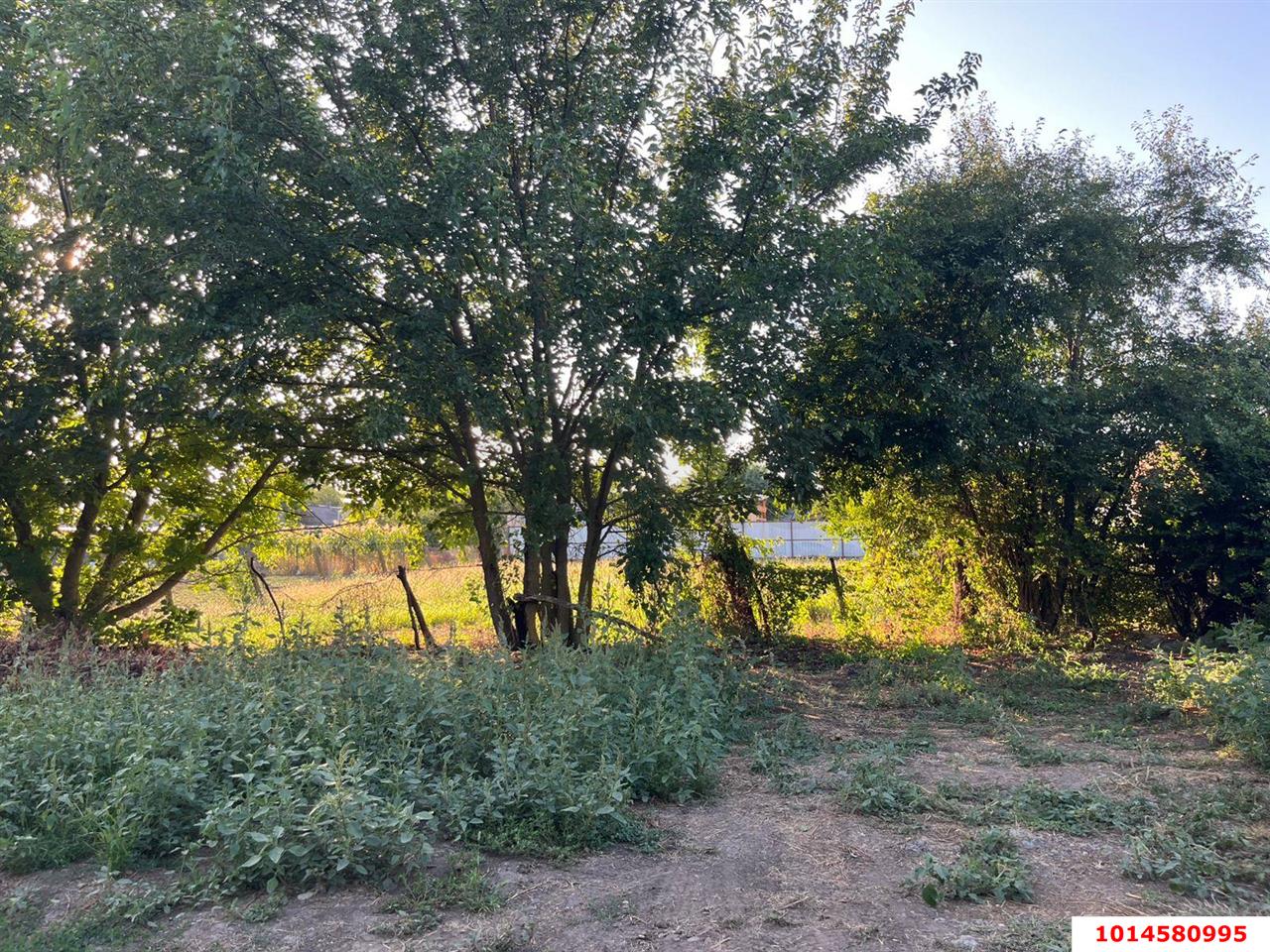 Фото №3: Земельный участок под ИЖС 5 сот. - Старомышастовская, ул. Набережная, 26