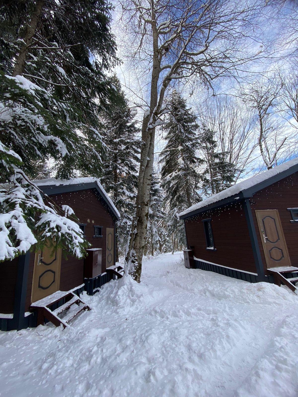 Фото №5: Коммерция 50 м² - Краснодарский край Апшеронский район