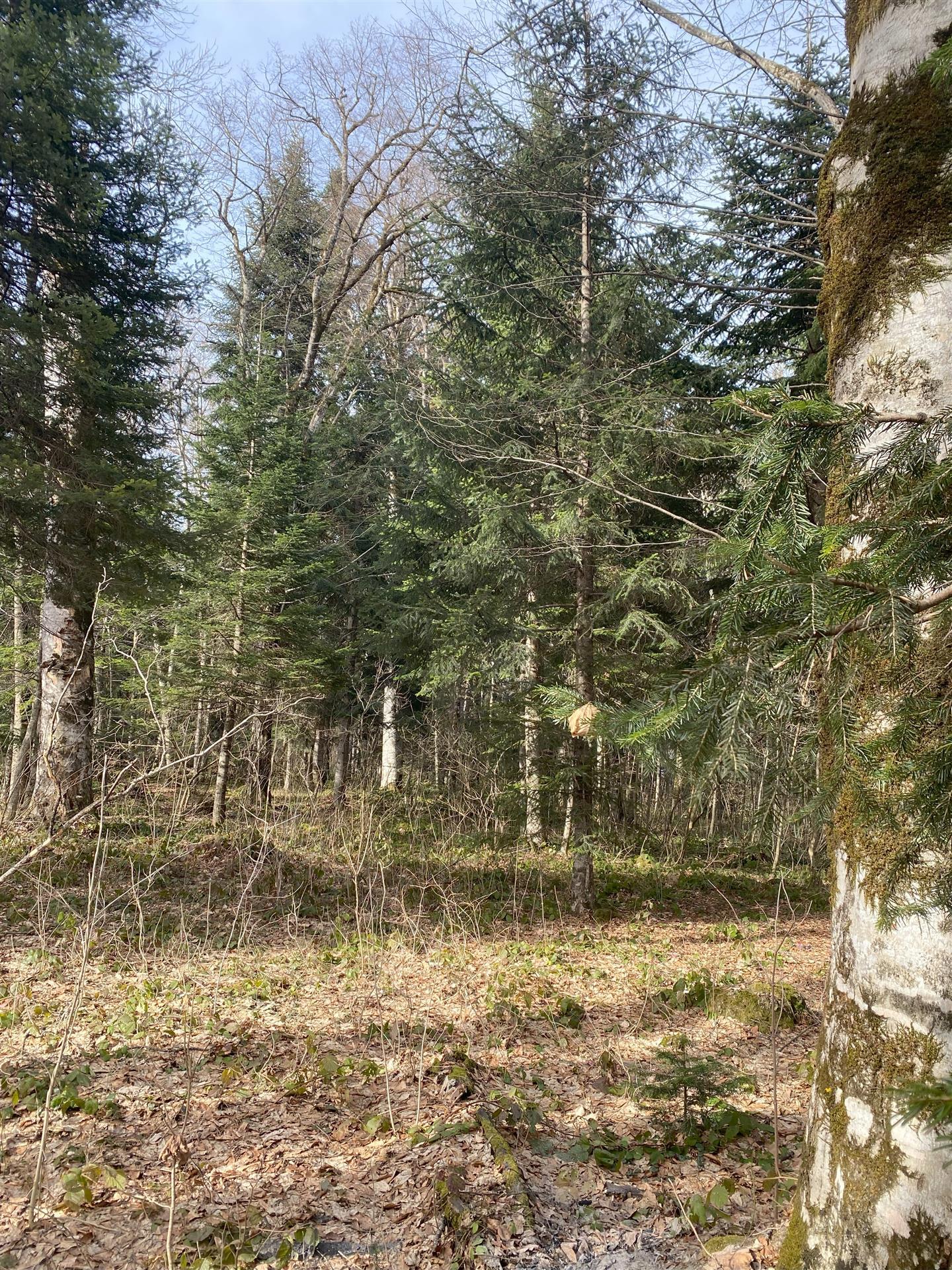 Фото №15: Коммерция 50 м² - Краснодарский край Апшеронский район