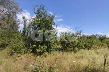 Фото №3: Участок садоводство - Мебельщик, 465