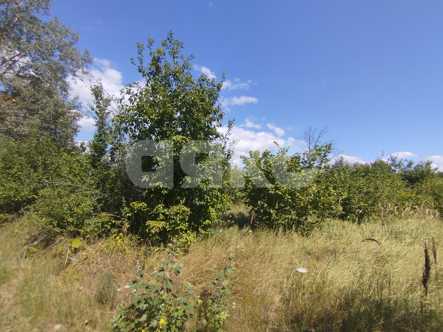 Фото №3: Участок садоводство 6 сот. - Мебельщик, 465