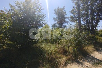 Фото №5: Участок садоводство - Мебельщик, 460