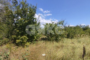 Фото №4: Участок садоводство - Мебельщик, 465