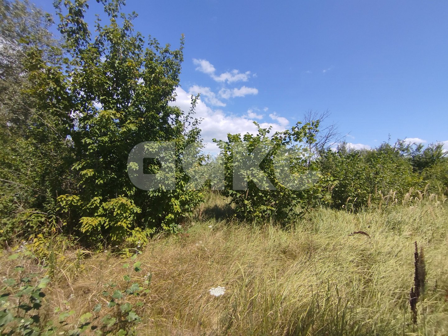 Фото №4: Участок садоводство 6 сот. - Мебельщик, 465