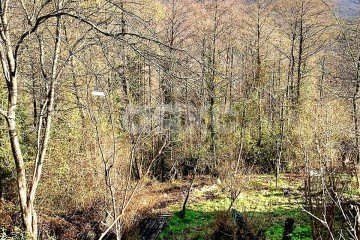 Фото №4: Земельный участок под ИЖС - Галицыно, ст Мелиоратор, 57