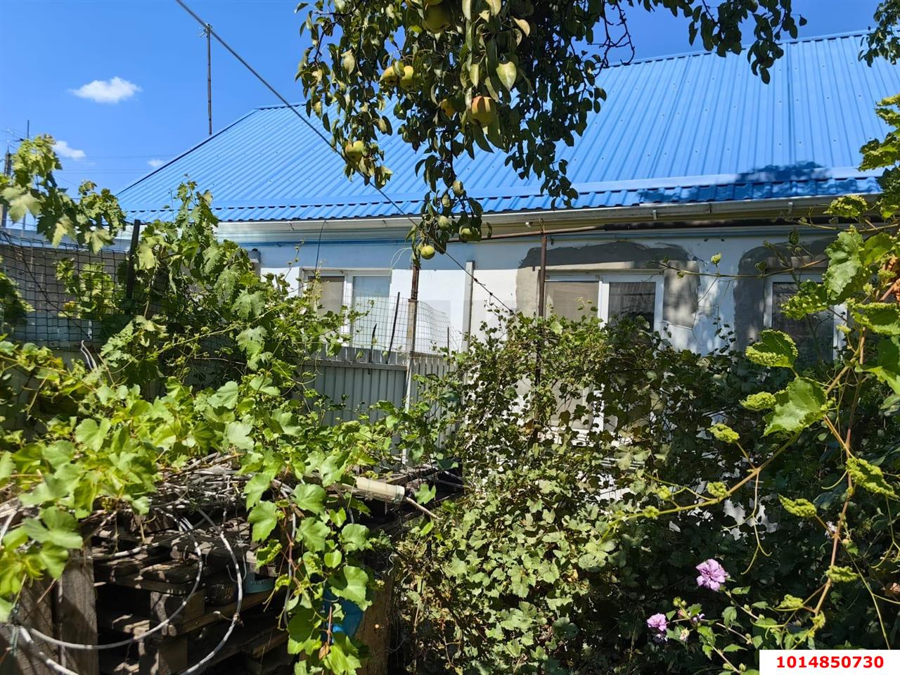 Фото №1: Дом 27 м² + 1.2 сот. - Краснодар, Карасунский внутригородской округ, мкр. Камвольно-суконный Комбинат, ул. Ремесленная, 90