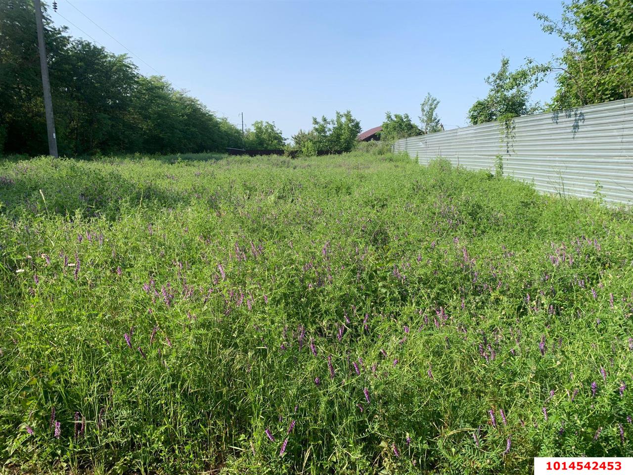 Фото №3: Дом 46 м² + 8 сот. - Агроном, Карасунский внутригородской округ, ул. Зелёная, 342