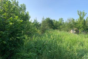 Фото №2: Дом 46 м² - Агроном, мкр. Карасунский внутригородской округ, ул. Зелёная, 342