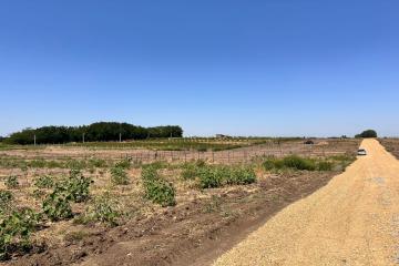 Фото №3: Земельный участок 6.73 сот. - Украинский, ул. Первомайская, 167