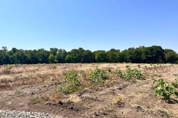 Фото №1: Земельный участок 6.73 сот. - Украинский, ул. Первомайская, 167