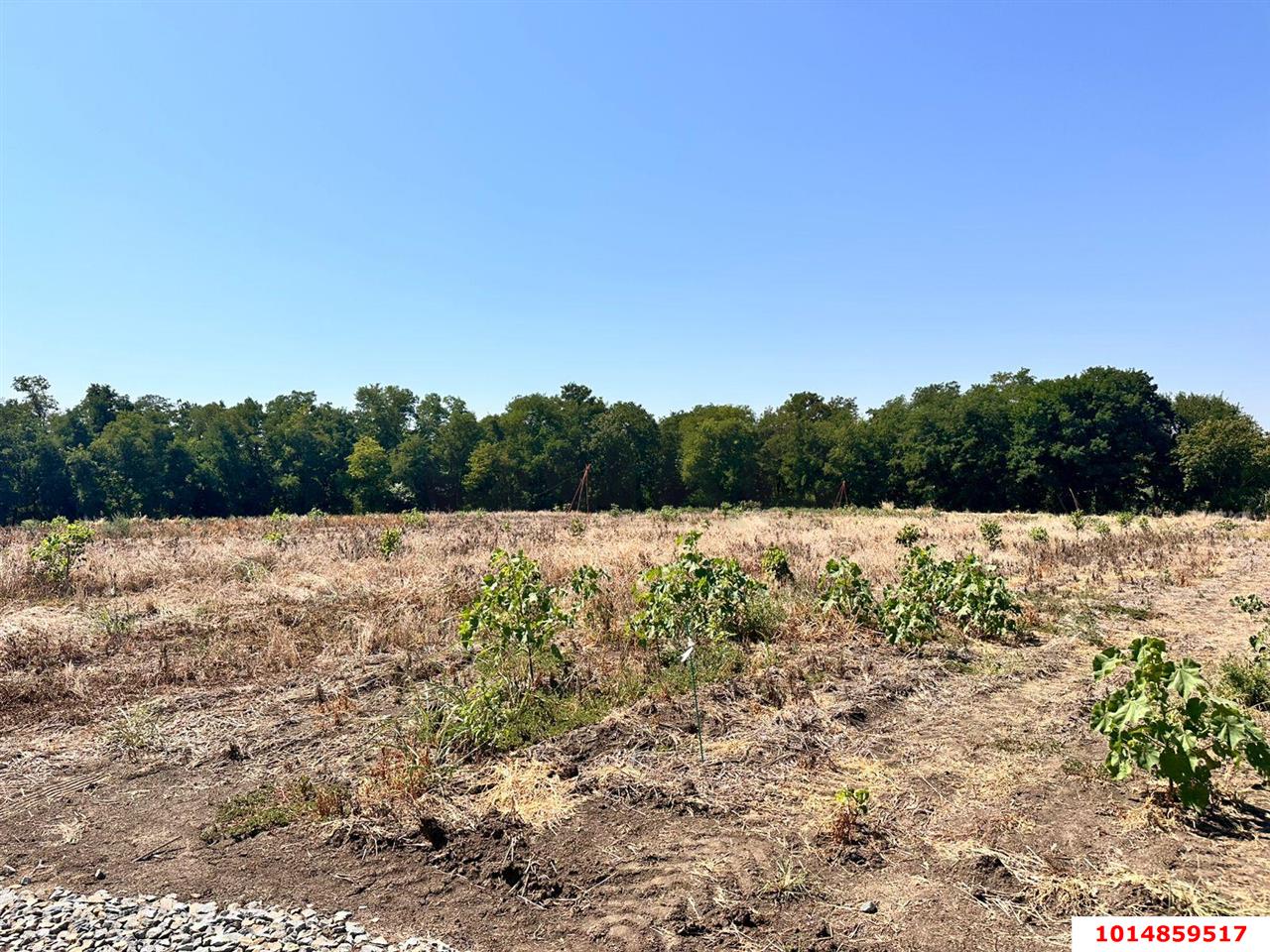 Фото №1: Земельный участок 6.73 сот. - Украинский, ул. Первомайская, 167