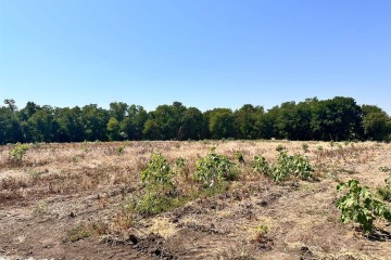 Фото №1: Земельный участок под ИЖС 6.73 сот. - Украинский, ул. Первомайская, 167