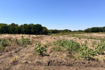 Фото №4: Земельный участок под ИЖС 6.73 сот. - Украинский, ул. Первомайская, 167