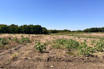 Фото №4: Земельный участок 6.73 сот. - Украинский, ул. Первомайская, 167