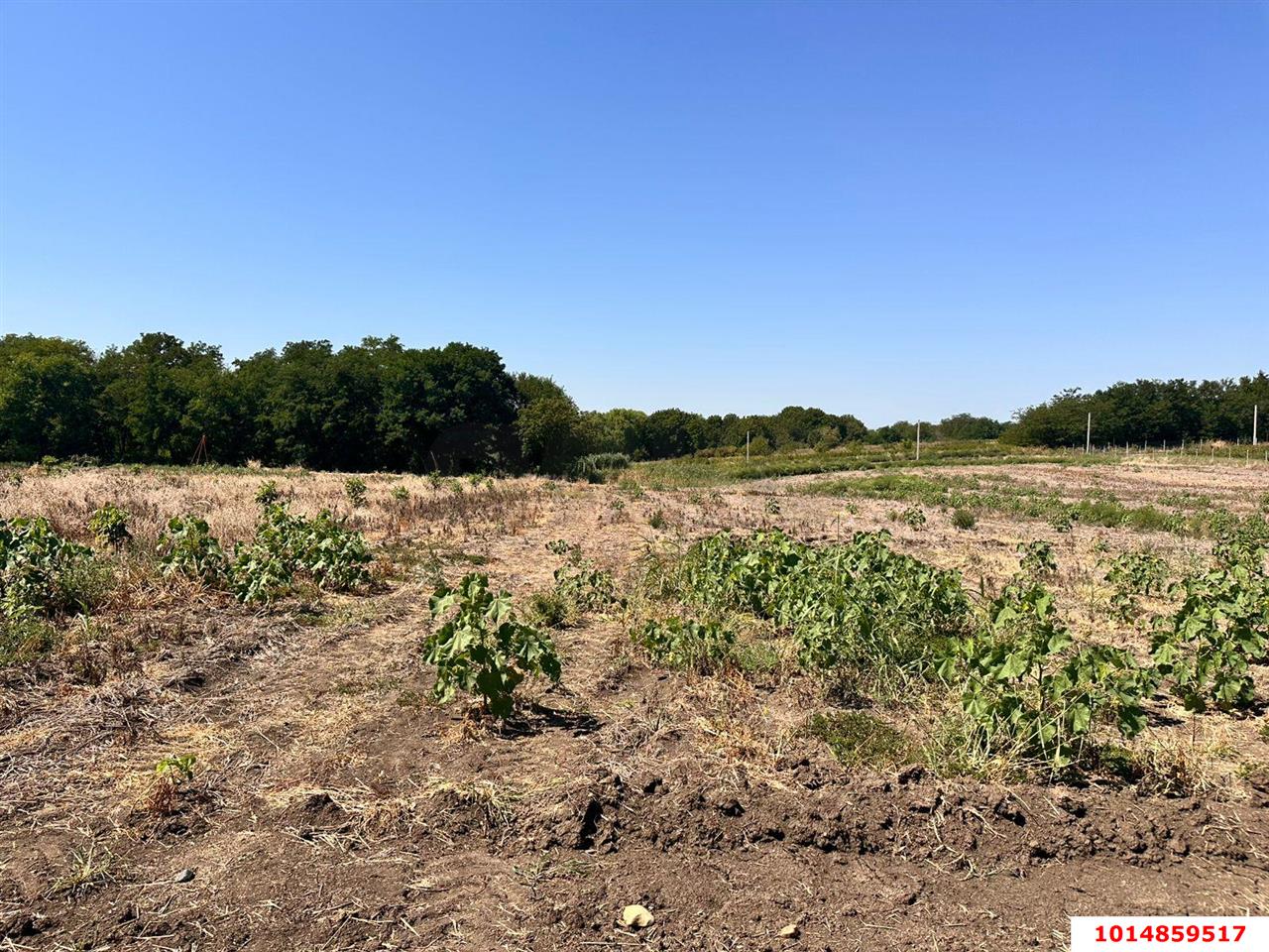 Фото №4: Земельный участок 6.73 сот. - Украинский, ул. Первомайская, 167