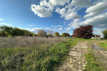 Фото №4: Земельный участок 8 сот. - Дружный, ул. Крестьянская, 2