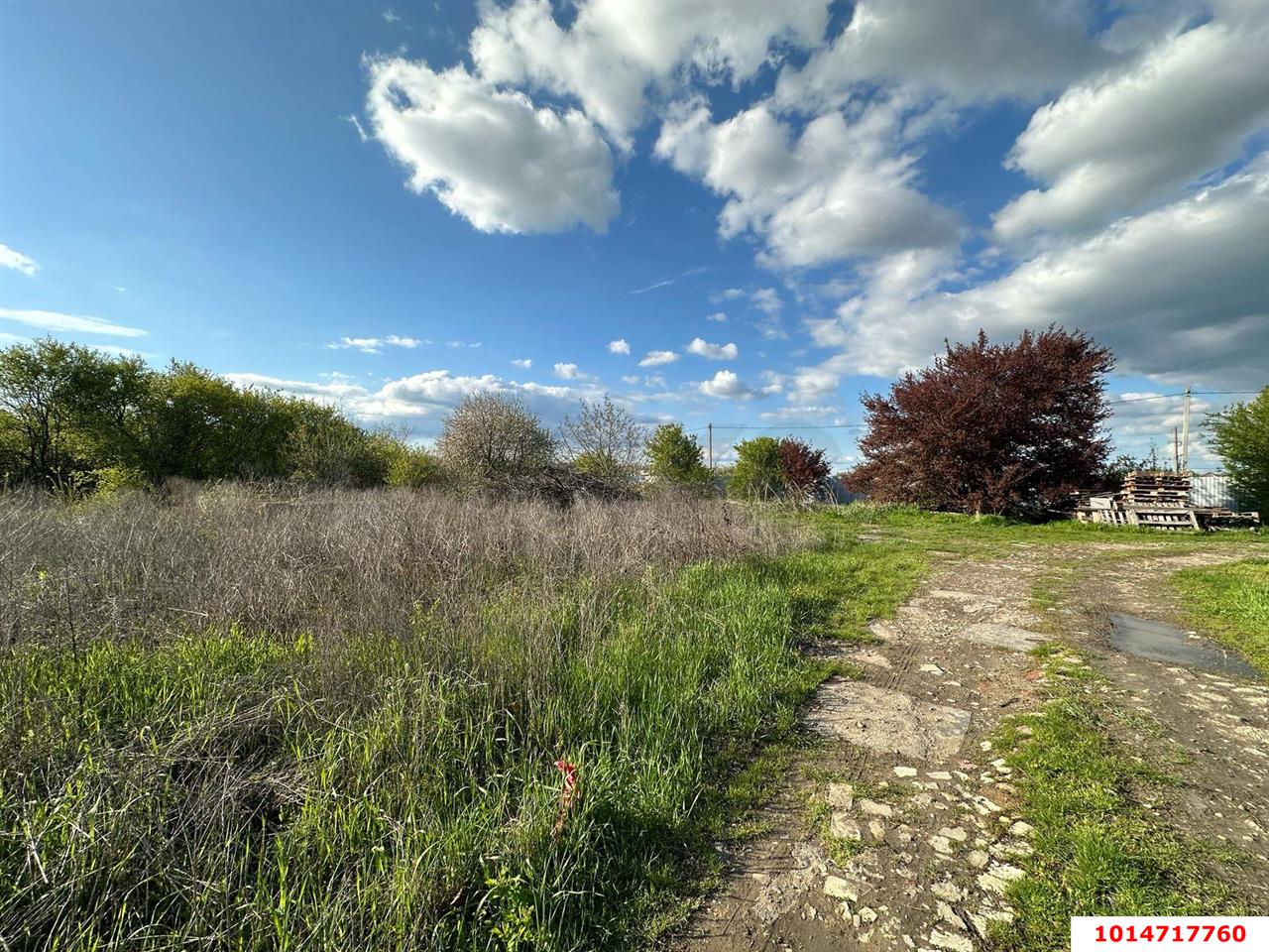 Фото №4: Земельный участок под ИЖС - Дружный, ул. Крестьянская, 2