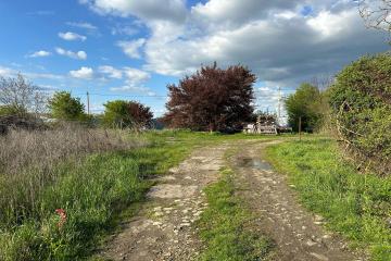 Фото №2: Земельный участок 8 сот. - Дружный, ул. Крестьянская, 2