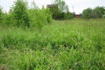 Фото №4: Участок садоводство 5.86 сот. - Краснодар, мкр. ДНТ Новознаменский, ул. Приморская, 21