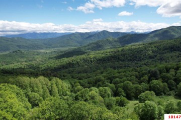 Фото №2: Коммерческая земля 100 сот. - Даховская, ул. Советская, 20