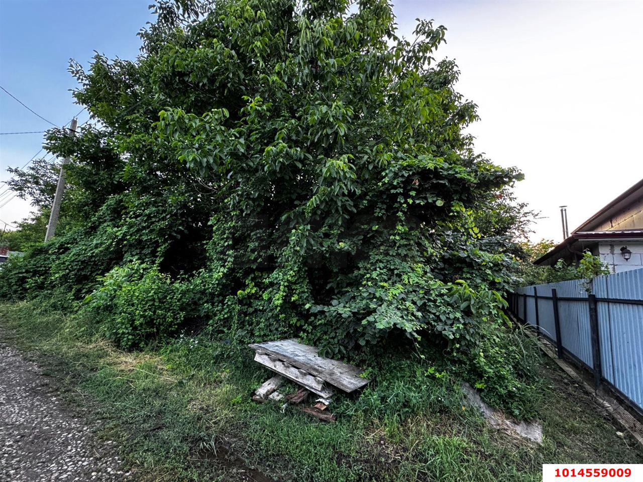 Фото №2: Земельный участок 4 сот. - Елизаветинская, Прикубанский внутригородской округ, ст Градостроитель, ул. Сиреневая, 747