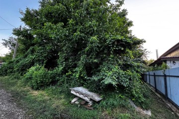 Фото №2: Участок садоводство 4 сот. - Елизаветинская, ст Градостроитель, ул. Сиреневая, 747