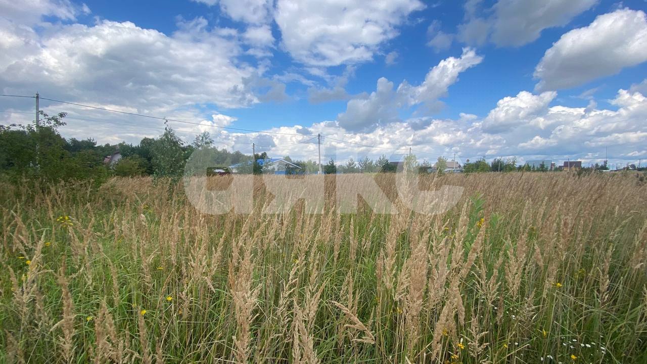 Фото №10: Участок садоводство 13 сот. - ТСН Чаплыгино, 98