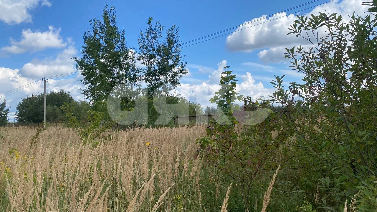 Фото №12: Участок садоводство 13 сот. - ТСН Чаплыгино, 98