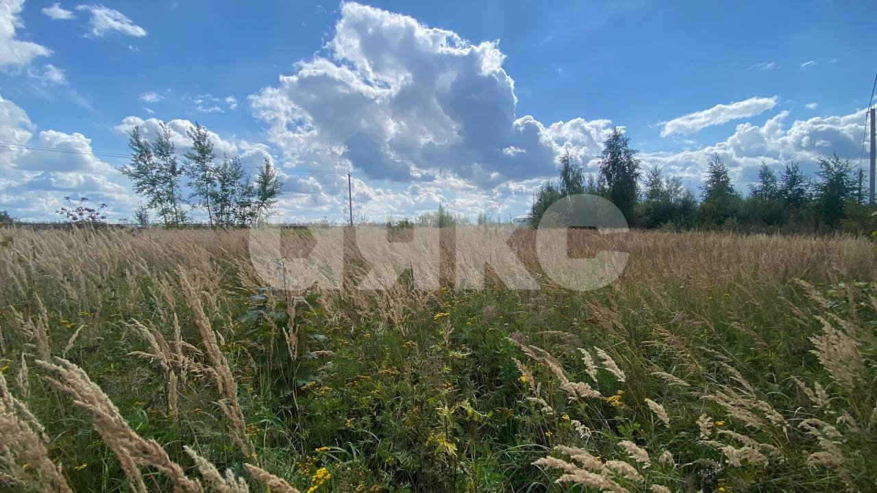 Фото №4: Участок садоводство 13 сот. - ТСН Чаплыгино, 98